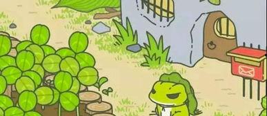 小青蛙真实爆料视频,揭秘真实生活幕后故事  第2张